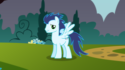 Size: 2560x1440 | Tagged: safe, soarin', pegasus, pony, g4, male, outdoors, smiling, solo, stallion