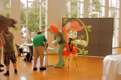 Size: 4912x3264 | Tagged: safe, oc, oc:nessie, human, galacon, 2014, fursuit, indoors, irl, irl human, photo, ponysuit