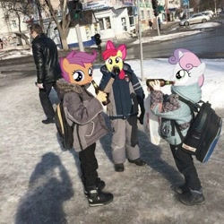 Size: 736x736 | Tagged: safe, edit, apple bloom, scootaloo, sweetie belle, g4, alcohol, backpack, beer, beer bottle, bottle, cutie mark crusaders, drink, drinking, meme, photo, poland, street, traffic light, underaged drinking, winter