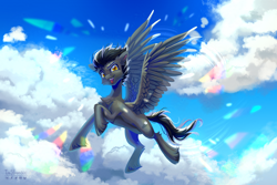 Size: 3708x2480 | Tagged: safe, artist:teaflower300, oc, oc only, pegasus, pony, pegasus oc, solo