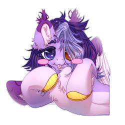 Size: 2500x2500 | Tagged: safe, artist:medkit, oc, oc only, oc:wendy levitar, pegasus, pony, :3, :p, big eyes, blushing, chest fluff, colored belly, colored ear fluff, colored eartips, colored eyebrows, colored eyelashes, colored hooves, colored lineart, colored pupils, colored sketch, colored wings, colored wingtips, ear cleavage, ear fluff, ears up, eye clipping through hair, eyebrows, eyebrows visible through hair, eyelashes, facial markings, feathered wings, female, freckles, gift art, gold hooves, gradient hooves, hair over one eye, half body, heart ears, heart shaped, heterochromia, high res, hoof fluff, hoof to cheek, hooves, horseshoes, lightly watermarked, looking at you, lying down, mare, multicolored coat, partially open wings, shading, short hair, signature, simple background, sketch, solo, tassels, tongue out, transparent background, two toned mane, wall of tags, watermark, wings