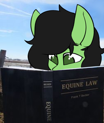 Size: 1510x1790 | Tagged: safe, artist:itskaarts, artist:pukifurs, edit, oc, oc only, oc:filly anon, earth pony, pony, g4, book, cute, female, filly, foal, meme, outdoors, ponified animal photo, ponified meme, shitposting, solo