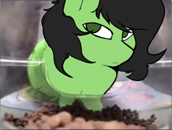 Size: 2463x1861 | Tagged: safe, artist:itskaarts, artist:pukifurs, edit, oc, oc:filly anon, earth pony, pony, g4, cute, female, filly, foal, meme, ponified meme, shitposting