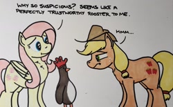 Size: 2048x1269 | Tagged: safe, artist:hoofclid, applejack, fluttershy, bird, earth pony, pegasus, penguin, pony, g4, crossover, dialogue, feathers mcgraw, female, frown, gloves, mare, marker drawing, narrowed eyes, rubber gloves, speech bubble, traditional art, trio, wallace and gromit