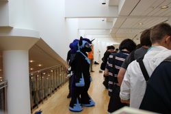 Size: 1920x1280 | Tagged: safe, nightmare moon, galacon, g4, 2015, fursuit, irl, photo, ponysuit