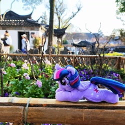 Size: 1728x1728 | Tagged: safe, photographer:brella, twilight sparkle, alicorn, g4, irl, photo, plushie