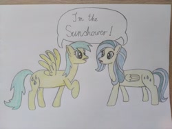 Size: 4032x3016 | Tagged: safe, artist:jakusi, sunshower, sunshower raindrops, pegasus, pony, g4, dialogue, duo, female, folded wings, mare, speech bubble, spread wings, traditional art, wings