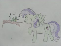 Size: 4032x3016 | Tagged: safe, artist:jakusi, violet twirl, bird, hummingbird, pegasus, pony, g4, dancing, eyes closed, female, friendship student, happy, mare, music notes, singing, traditional art, tree branch