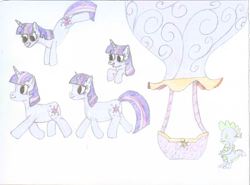 Size: 2360x1746 | Tagged: safe, artist:jakusi, spike, twilight sparkle, dragon, pony, unicorn, g4, balloon, female, happy, horn, hot air balloon, jumping, mare, multeity, traditional art, trotting, walking