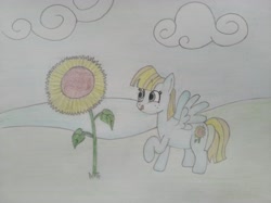 Size: 4032x3016 | Tagged: safe, artist:jakusi, helia, pegasus, pony, g4, cloud, female, flower, freckles, licking, licking lips, mare, multicolored hair, raised hoof, solo, spread wings, sunflower, tongue out, traditional art, wings