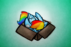 Size: 1340x896 | Tagged: safe, artist:zutcha, rainbow dash, pegasus, pony, g4, behaving like a cat, box, cardboard box, cute, dashabetes, eyes closed, female, if i fits i sits, lying down, mare, pony in a box, prone, sleeping, solo