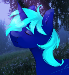 Size: 2496x2706 | Tagged: safe, artist:yuvi, oc, oc only, pony, unicorn, horn, male, unicorn oc