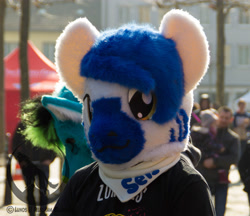 Size: 4001x3456 | Tagged: safe, oc, oc:kio (schwabenotter), fursuit, irl, photo, ponysuit