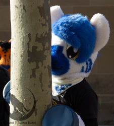 Size: 3125x3456 | Tagged: safe, oc, oc:kio (schwabenotter), fursuit, irl, photo, ponysuit