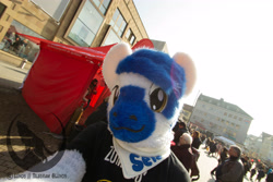 Size: 5184x3456 | Tagged: safe, oc, oc:kio (schwabenotter), fursuit, irl, photo, ponysuit