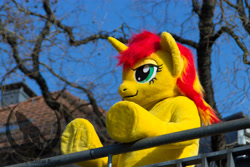 Size: 5184x3456 | Tagged: safe, artist:atalonthedeer, sunset shimmer, g4, fursuit, irl, outdoors, photo, ponysuit