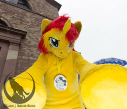 Size: 3992x3456 | Tagged: safe, artist:atalonthedeer, sunset shimmer, g4, fursuit, irl, outdoors, photo, ponysuit