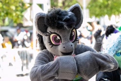 Size: 6000x4000 | Tagged: safe, octavia melody, g4, fursuit, irl, outdoors, photo, ponysuit