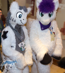 Size: 3104x3456 | Tagged: safe, oc, oc only, oc:kaouk, oc:reverb, fursuit, irl, photo, ponysuit