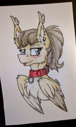 Size: 2268x3781 | Tagged: safe, artist:cmdraj, oc, oc only, oc:dima, pegasus, pony, blushing, collar, mlem, photo, silly, solo, tongue out, traditional art