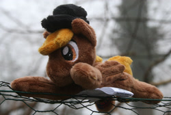 Size: 3196x2148 | Tagged: safe, artist:bastler, oc, oc:calamity, pegasus, fallout equestria, hat, irl, male, photo, plushie, solo, stallion