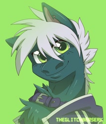 Size: 1200x1400 | Tagged: safe, artist:theglitchberserk, oc, oc only, pony, bust, clothes, green background, male, portrait, simple background, smiling, solo, stallion