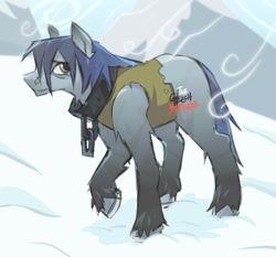 Size: 1450x1350 | Tagged: safe, artist:theglitchberserk, oc, oc only, earth pony, pony, clothes, collar, male, outdoors, snow, solo, stallion, unshorn fetlocks