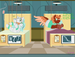 Size: 2048x1556 | Tagged: safe, alternate version, artist:wingcommanderrudoji, oc, oc only, oc:contrail, oc:golden flare, earth pony, pegasus, pony, bandage, bed, body cast, bondage, broken bone, broken leg, broken wing, cast, colored hooves, colored wings, commission, dialogue, duo, duo male, earth pony oc, encasement, freckles, helpless, hooves, hospital, hospital bed, injured, looking at each other, looking at someone, looking sideways, male, medical bondage, medical chart, muffled words, neck brace, open mouth, open smile, pegasus oc, pillow, sling, smiling, stallion, story included, tail, traction, unshorn fetlocks, wings, x-ray picture