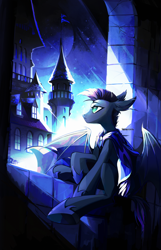 Size: 1947x3025 | Tagged: safe, artist:teturirusu, oc, oc:ares, bat pony, pegasus, armor, castle, clothes, commission, dark skin, looking up, male, night, night guard, royal guard, shoes, solo, window, your character here