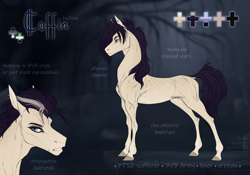 Size: 3000x2100 | Tagged: safe, artist:dementra369, oc, oc only, oc:coffin, earth pony, pony, earth pony oc, reference sheet, solo