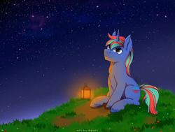 Size: 5281x4000 | Tagged: safe, artist:nnaly, oc, oc only, oc:lapis, pony, unicorn, grass, horn, lantern, male, night, night sky, outdoors, sitting, sky, solo, stallion, stars, unshorn fetlocks