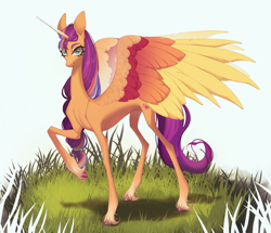 Size: 2964x2545 | Tagged: safe, artist:meggychocolatka, part of a set, sunny starscout, alicorn, pony, g5, beautiful, braid, braided ponytail, coat markings, colored, colored wings, commission, commissioner:princess, concave belly, eye clipping through hair, eyebrows, eyebrows visible through hair, eyelashes, female, grass, hoof fluff, horn, large wings, long horn, long mane, long tail, looking at you, mare, multicolored wings, no source available, older, older sunny starscout, ponytail, princess sunny starscout, race swap, raised hoof, scrunchie, shading, slender, smiling, smiling at you, socks (coat markings), solo, spread wings, standing, sunnycorn, tail, tall, thin, thin legs, unshorn fetlocks, wings