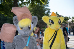 Size: 1920x1281 | Tagged: safe, derpy hooves, spitfire, human, galacon, g4, 2016, bag, duo focus, fursuit, irl, irl human, outdoors, photo, ponysuit