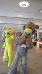 Size: 1080x1920 | Tagged: safe, derpy hooves, spitfire, galacon, g4, 2016, bag, duo, fursuit, indoors, irl, photo, ponysuit