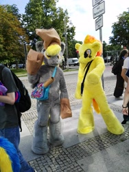 Size: 3120x4160 | Tagged: safe, derpy hooves, spitfire, human, galacon, g4, 2016, bag, fursuit, irl, irl human, outdoors, photo, ponysuit