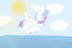 Size: 3000x2000 | Tagged: safe, artist:lunar_plague, oc, oc only, oc:sadie_dee, pegasus, pony, cloud, flying, solo, spread wings, water, wings