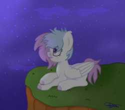 Size: 1600x1400 | Tagged: safe, artist:lunar_plague, oc, oc only, oc:sadie dee, pegasus, pony, solo