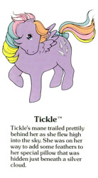 Size: 550x1000 | Tagged: safe, tickle (g1), pegasus, pony, g1, my little pony fact file, official, bow, closed mouth, cute, female, g1 backstory, mare, rainbow ponies, raised hoof, smiling, solo, tail, tail bow, text, ticklebetes, trademark, wings