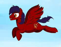 Size: 3300x2550 | Tagged: safe, artist:crimsonstride, oc, oc only, oc:crimson stride, pegasus, pony, g4, flying, male, sky, solo, stallion