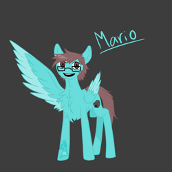 Size: 1600x1600 | Tagged: safe, artist:spectrum205, oc, oc only, pegasus, simple background