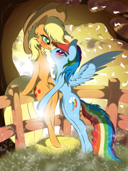 Size: 2304x3072 | Tagged: safe, artist:v-d-k, applejack, rainbow dash, earth pony, pegasus, g4, applejack's hat, blushing, cowboy hat, female, fence, hat, lesbian, ship:appledash, shipping, spread wings, wings