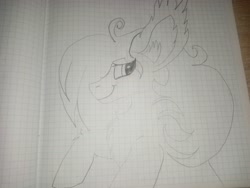 Size: 4160x3120 | Tagged: safe, earth pony, drawing, pencil drawing, traditional art, лист в ячейках, рисунок в блокноте