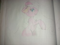 Size: 4160x3120 | Tagged: safe, earth pony, drawing, drawing in a notebook, not pinkie pie, pencil drawing, sheet in cells, traditional art