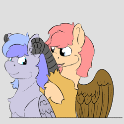 Size: 1102x1102 | Tagged: safe, artist:dsksh, oc, oc only, oc:discoordination, oc:ponygriff, hybrid, pegasus, ponygriff, looking back, open mouth, pegasus oc, sitting, spread wings, wings