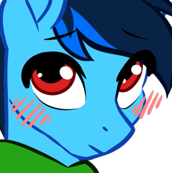 Size: 537x541 | Tagged: safe, artist:mxiiisy, oc, oc only, oc:cobalt chaser, pegasus, pony, blue coat, blue mane, blush lines, blushing, clothes, digital art, emotes, hoodie, jacket, looking at you, male, pegasus oc, red eyes, simple background, solo, sweater, transparent background