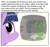 Size: 1260x1185 | Tagged: safe, artist:eels, twilight sparkle, oc, oc:anon, human, pony, unicorn, g4, blushing, breaking the fourth wall, brony history, computer, d:, eyelashes, female, horn, looking at you, male, mare, meme, oh no, open mouth, text, unicorn twilight, youtube