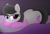 Size: 4032x2724 | Tagged: safe, artist:rainbowšpekgs, octavia melody, earth pony, pony, g4, :3, bed, bedroom eyes, behaving like a cat, blanket, clothes, female, lying down, mare, on bed, ponyloaf, prone, smiling, socks