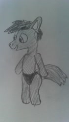 Size: 720x1280 | Tagged: safe, artist:maleponyforever, pony, briefs, clothes, male, male pony, speedo, standing up, underwear