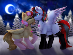 Size: 4000x3000 | Tagged: safe, artist:taiweiart, oc, oc only, alicorn, pegasus, pony, black socks, boop, clothes, commission, couple, duo, kissing, light skin, love, night, pink socks, socks, winter, ych result, your character here