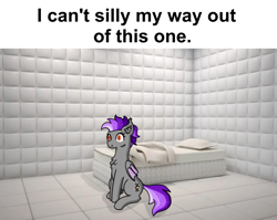 Size: 1578x1257 | Tagged: safe, artist:nismorose, oc, oc:belldrums, bat pony, bat wings, cheek fluff, chest fluff, ear fluff, indoors, meme, padded cell, sitting, slit pupils, text, wings